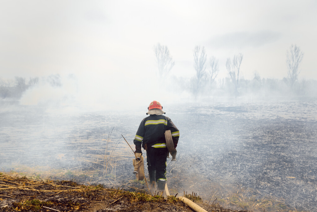 Wildfire, Environmental monitor, sustainability, Image by Adobe Stock