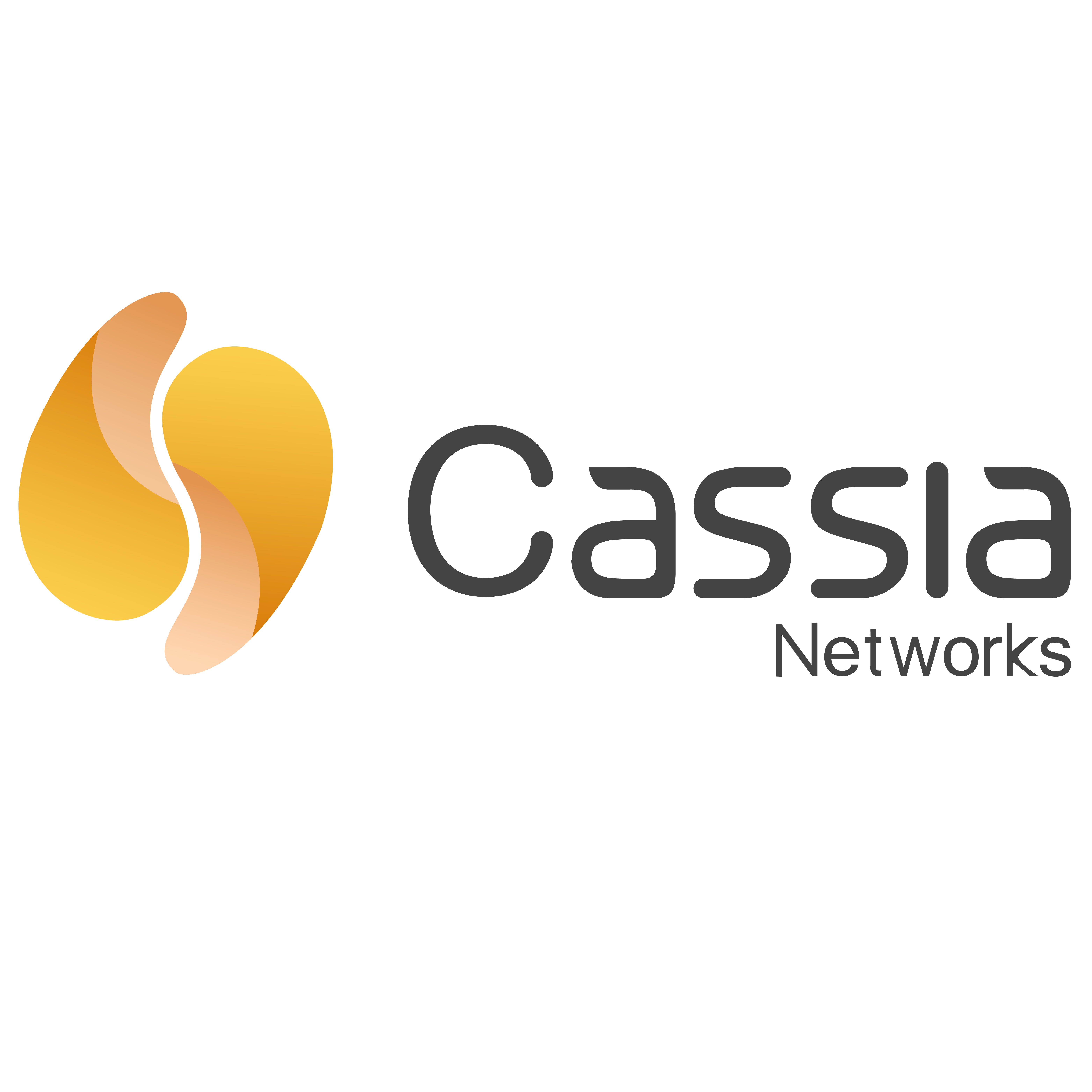Cassia Networks logo, Image by Cassia