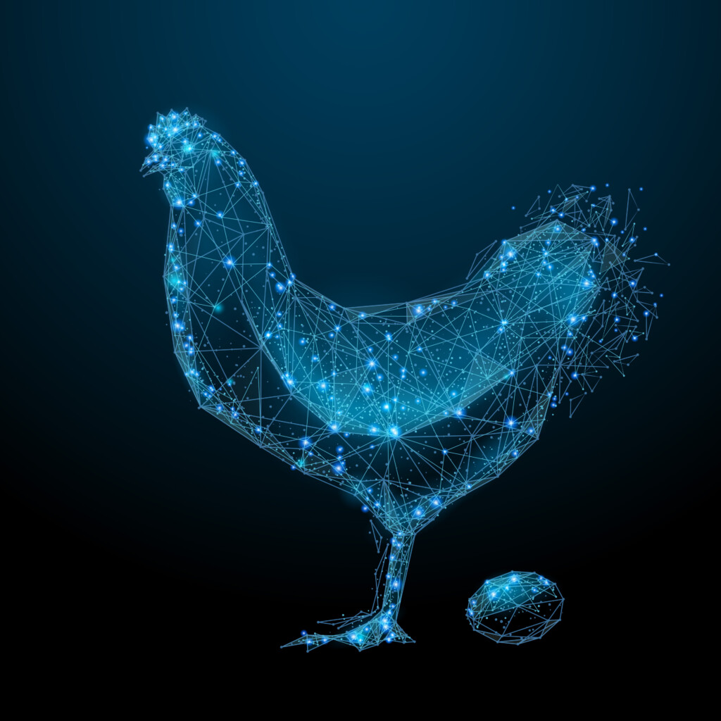 Smart Farming, Chicken, IoT, Image by Adobe Stock