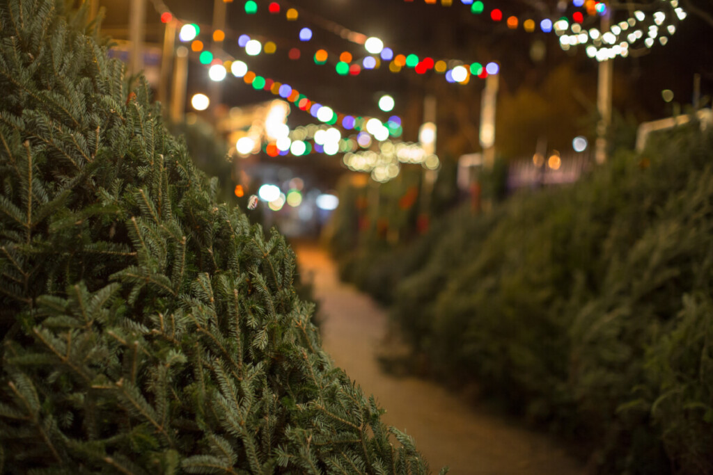 Christmas trees, IoT, image by adobe stock
